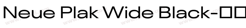 Neue Plak Wide Black字体转换